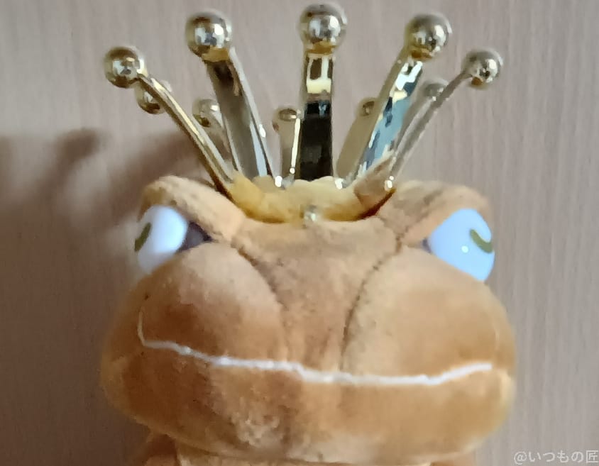 moto g64 5G カメラ
moto g64 5G インカメラで撮影した写真