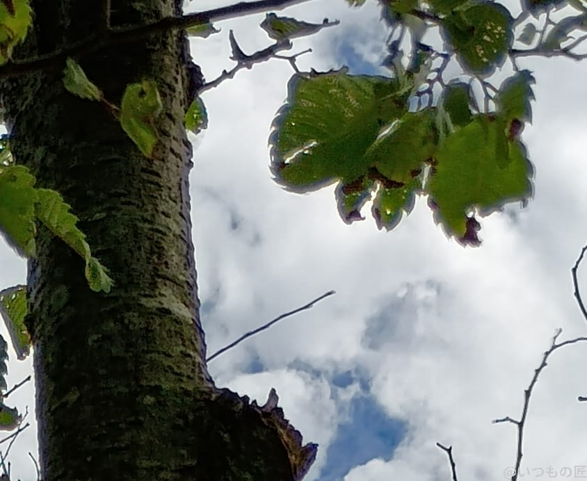 moto g64 5G カメラ
moto g64 5G カメラで撮影した風景写真