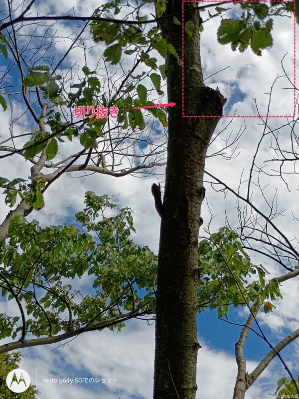 moto g64 5G カメラ
moto g64 5G カメラで撮影した風景写真