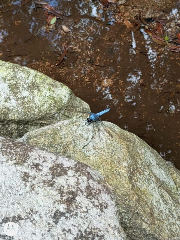 moto g64 5G カメラ
moto g64 5G カメラで撮影した風景写真