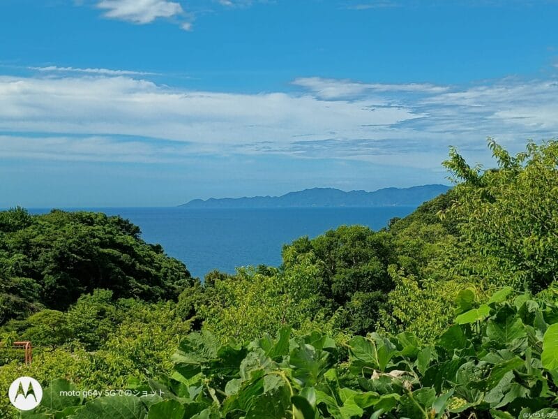 moto g64 5G カメラ
moto g64 5G カメラで撮影した風景写真