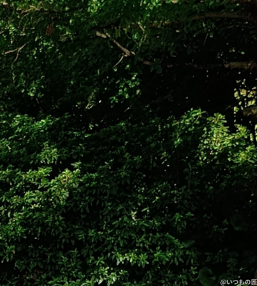 moto g64 5G カメラ
moto g64 5G カメラで撮影した風景写真