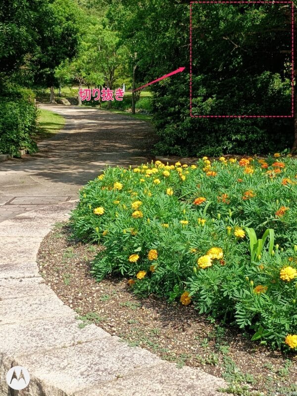 moto g64 5G カメラ
moto g64 5G カメラで撮影した風景写真