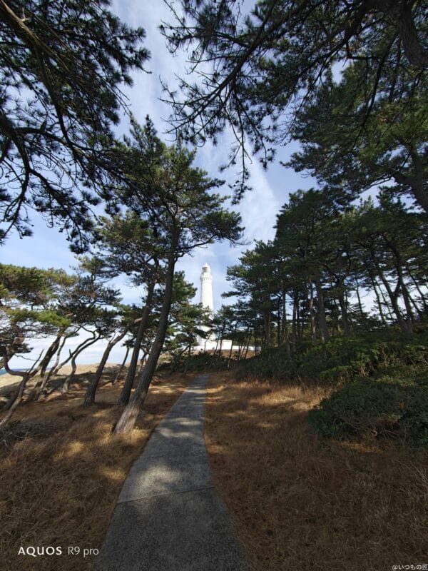 AQUOS R9 pro カメラ
AQUOS R9 proでズーム撮影した風景写真