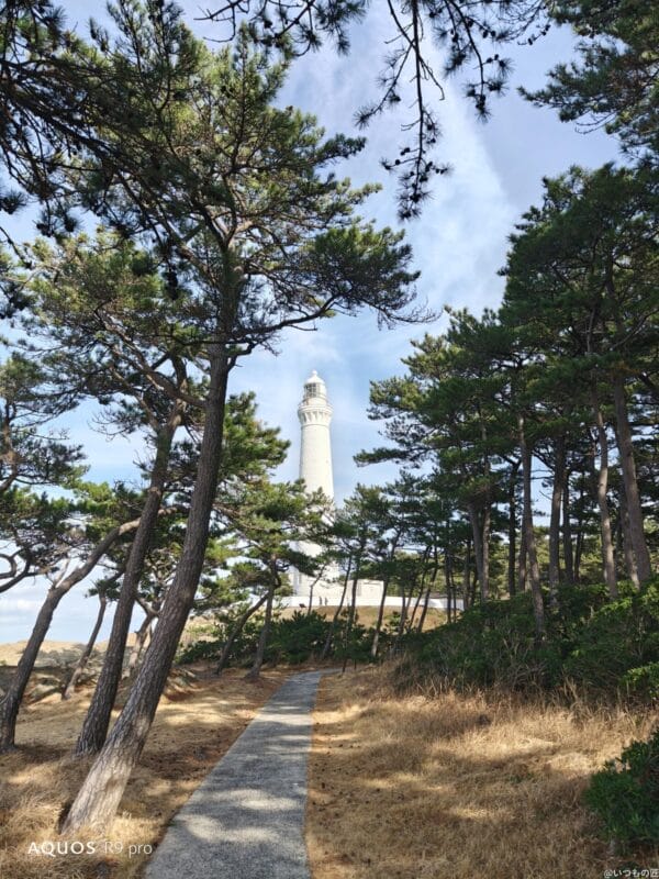 AQUOS R9 pro カメラ
AQUOS R9 proでズーム撮影した写真