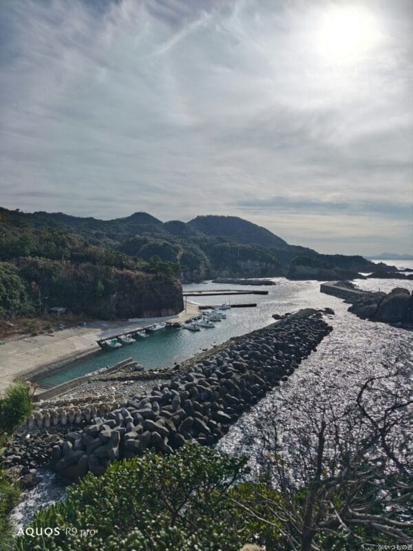 AQUOS R9 pro カメラ
AQUOS R9 proで撮影した風景写真