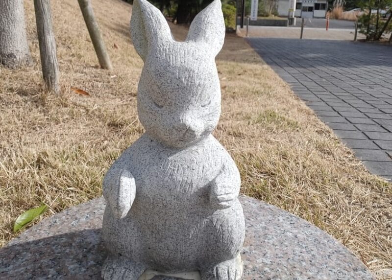 OPPO Find X8 カメラ
OPPO Find X8のインカメラで撮影した写真