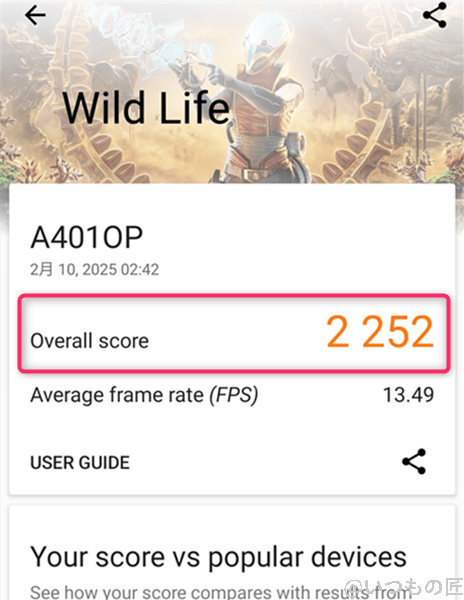 3DMark使い方 OPPO Reno11AのWild Lifeの測定画面