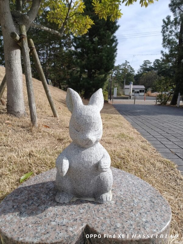 OPPO Find X8 カメラ
OPPO Find X8のインカメラで撮影した写真