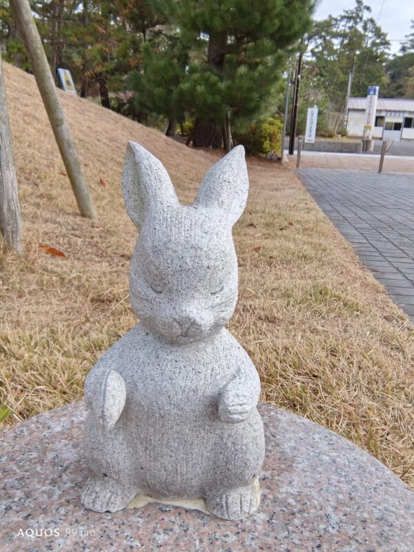 AQUOS R9 pro カメラ
AQUOS R9 proのインカメラで撮影した写真