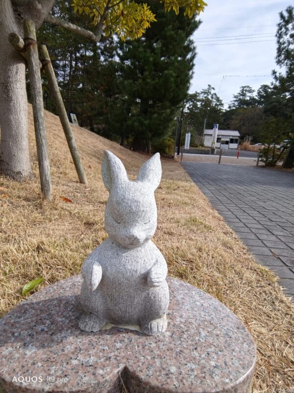 AQUOS R9 pro カメラ
AQUOS R9 proのインカメラで撮影した写真