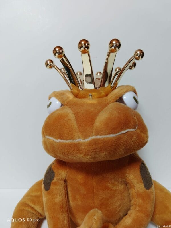 AQUOS R9 pro カメラ
AQUOS R9 proのインカメラで撮影した写真