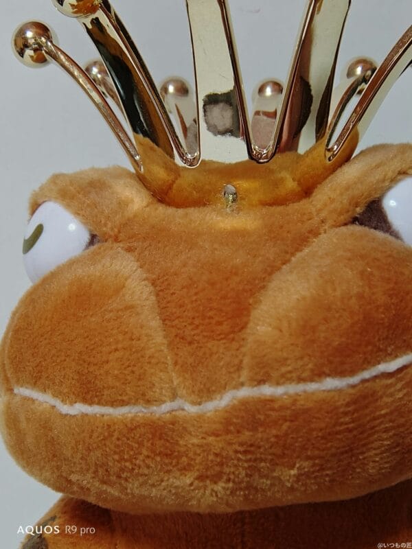 AQUOS R9 pro カメラ
AQUOS R9 proのインカメラで撮影した写真