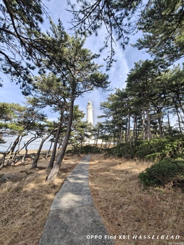 OPPO Find X8 カメラ
OPPO Find X8でズーム撮影した風景写真