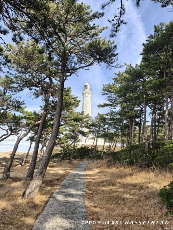 OPPO Find X8 カメラ
OPPO Find X8でズーム撮影した風景写真