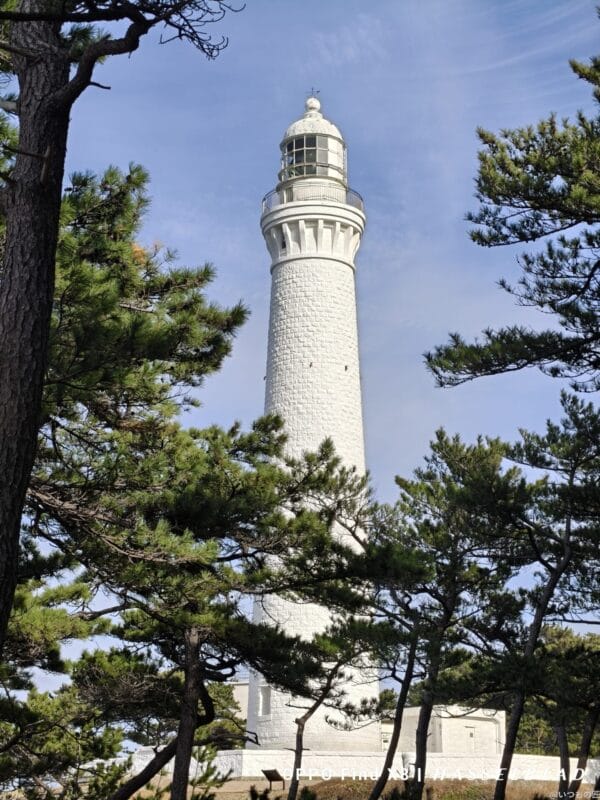 OPPO Find X8 カメラ
OPPO Find X8でズーム撮影した風景写真