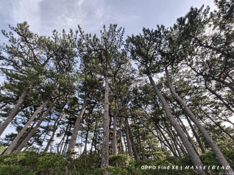 OPPO Find X8 カメラ
OPPO Find X8で撮影した風景写真