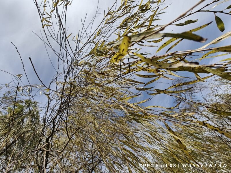 OPPO Find X8 カメラ
OPPO Find X8で撮影した風景写真