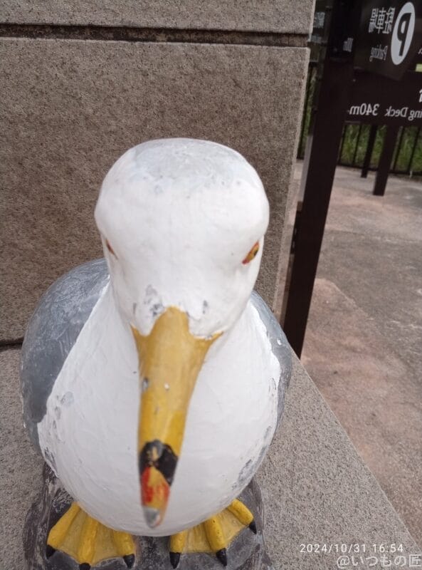 nubia S 5G カメラ
OPPO A3 5G インカメラで撮影した写真