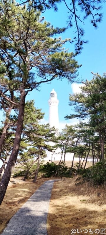 nubia S 5G カメラ
nubia S 5G でズーム撮影した風景写真