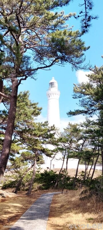 nubia S 5G カメラ
nubia S 5G でズーム撮影した風景写真