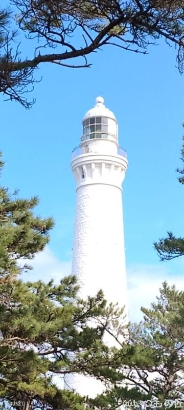 nubia S 5G カメラ
nubia S 5G でズーム撮影した風景写真