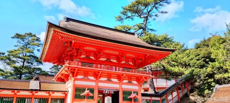 nubia S 5G カメラ
nubia S 5G で撮影した風景写真