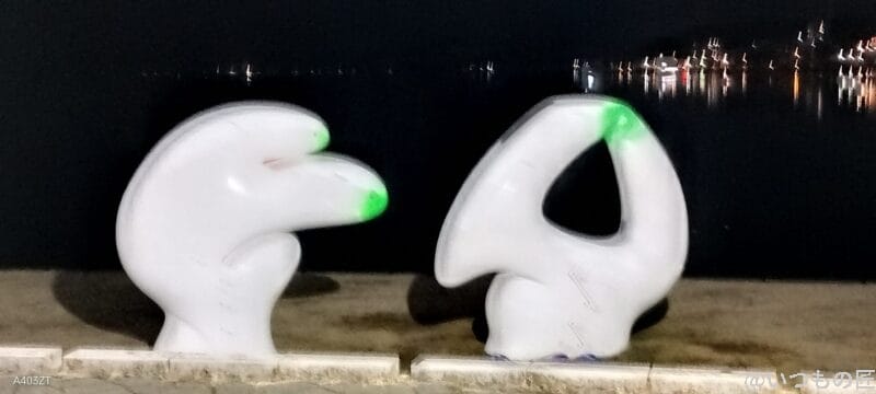 nubia S 5G カメラ
nubia S 5G でズーム撮影した暗所写真