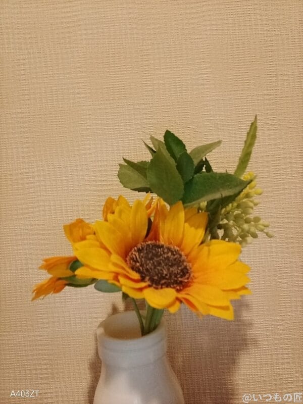 nubia S 5G レビュー
nubia S 5Gでインカメラ撮影した写真