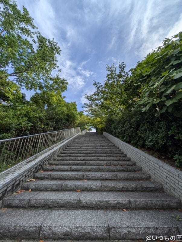 nubira Flip 2 カメラ
Google Pixel 9 で撮影した風景写真