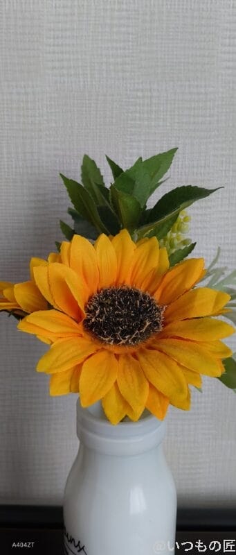 nubia Flip 2 レビュー
nubia Flip 2のカメラフィルターを使って撮影した写真