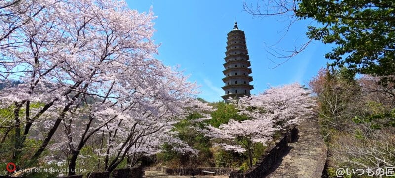 nubia Z70 Ultra 超広角18mmレンズの風景撮影