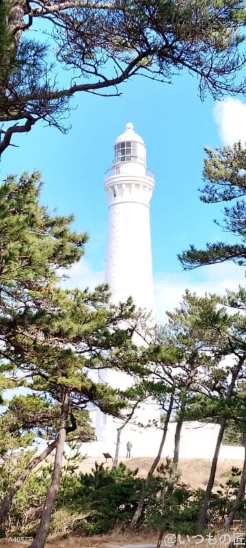 nubia S 5G レビュー
nubia S 5Gでズーム撮影した風景写真