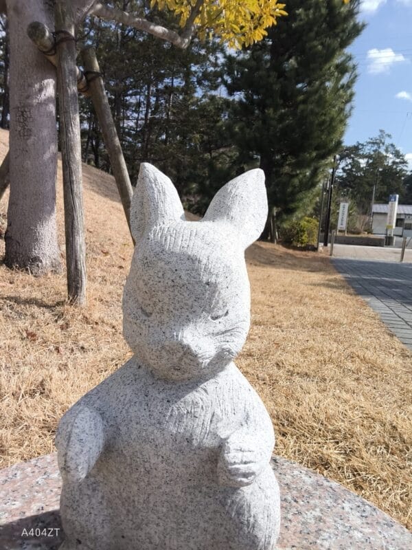 nubia Flip 2 カメラ
nubia Flip 2のインカメラで撮影した写真