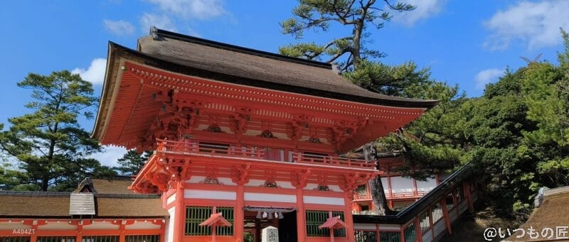 nubia Flip 2 レビュー
nubia Flip 2で撮影した風景写真