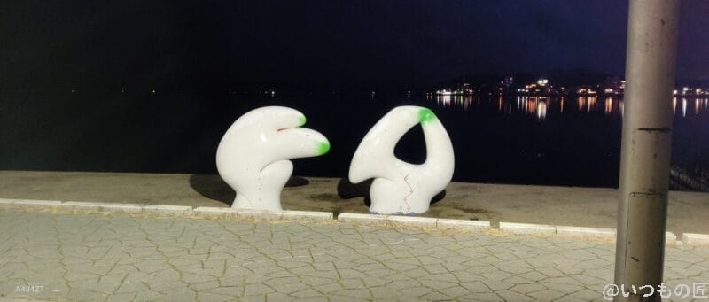 nubia Flip 2 カメラ
nubia Flip 2 カメラでズーム撮影した暗所写真