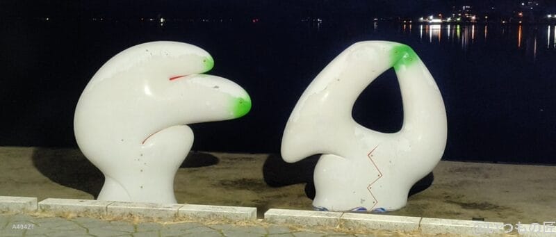 nubia Flip 2 カメラ
nubia Flip 2 カメラでズーム撮影した暗所写真