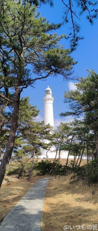 nubia Flip 2 カメラ
nubia Flip 2 カメラでズーム撮影した風景写真