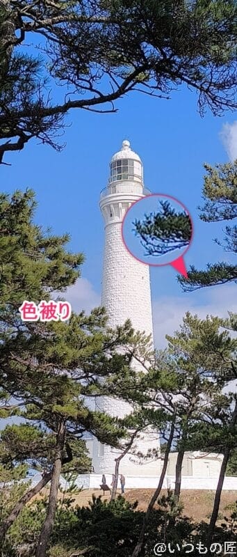 nubia Flip 2 カメラ
nubia Flip 2 カメラでズーム撮影した風景写真